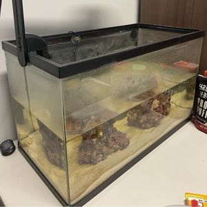 10 gallon + live rock + fiji pink sand